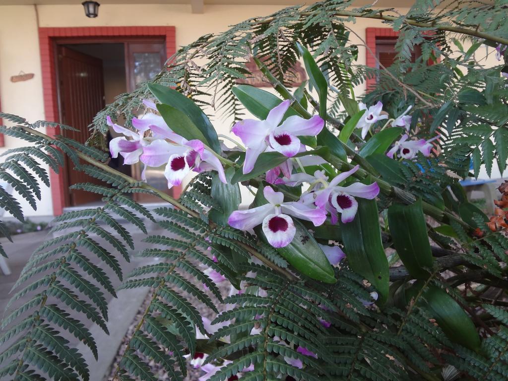 Pousada Floratta Nossa Casa Gramado Exterior photo
